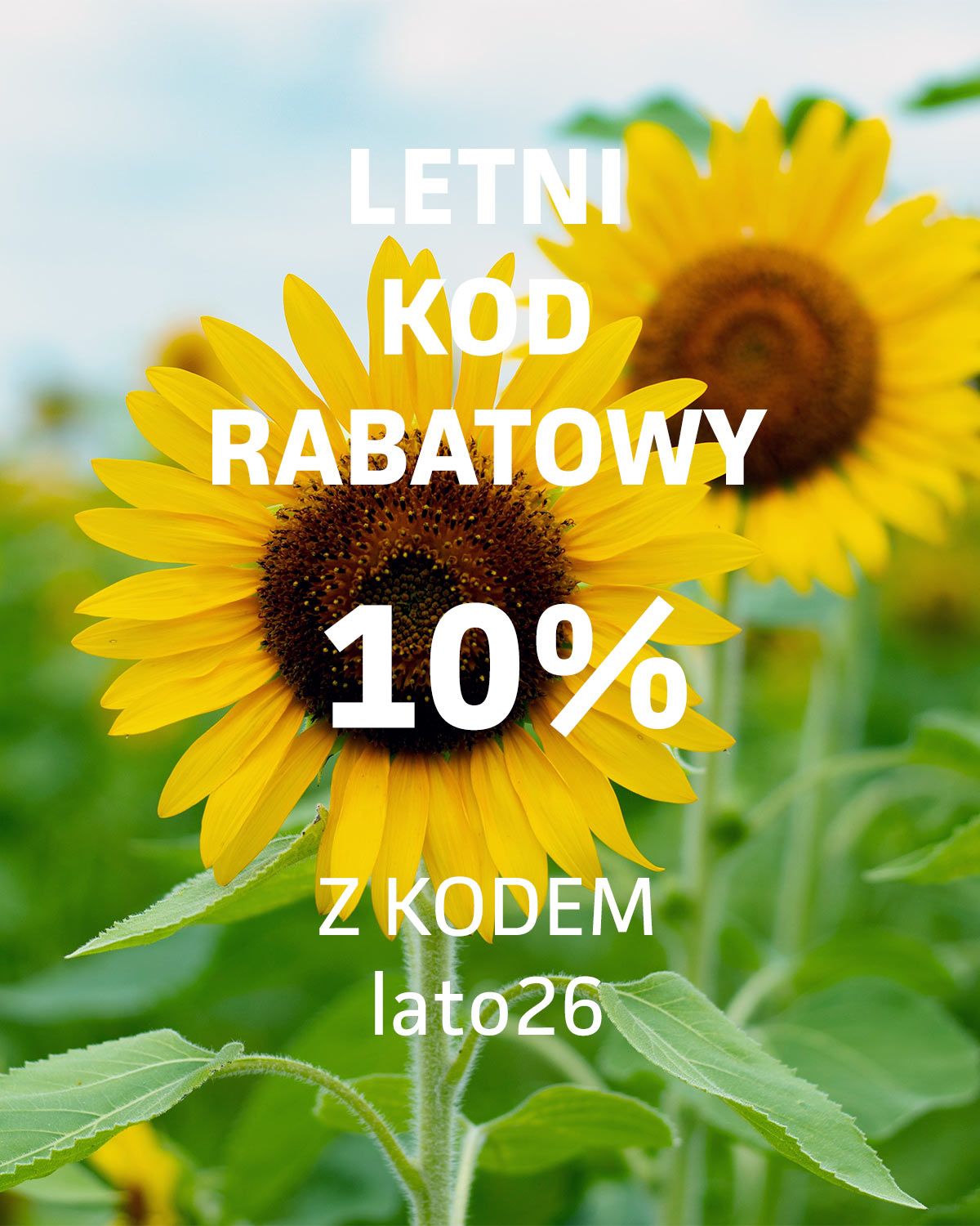 Letni kod rabatowy: lato26