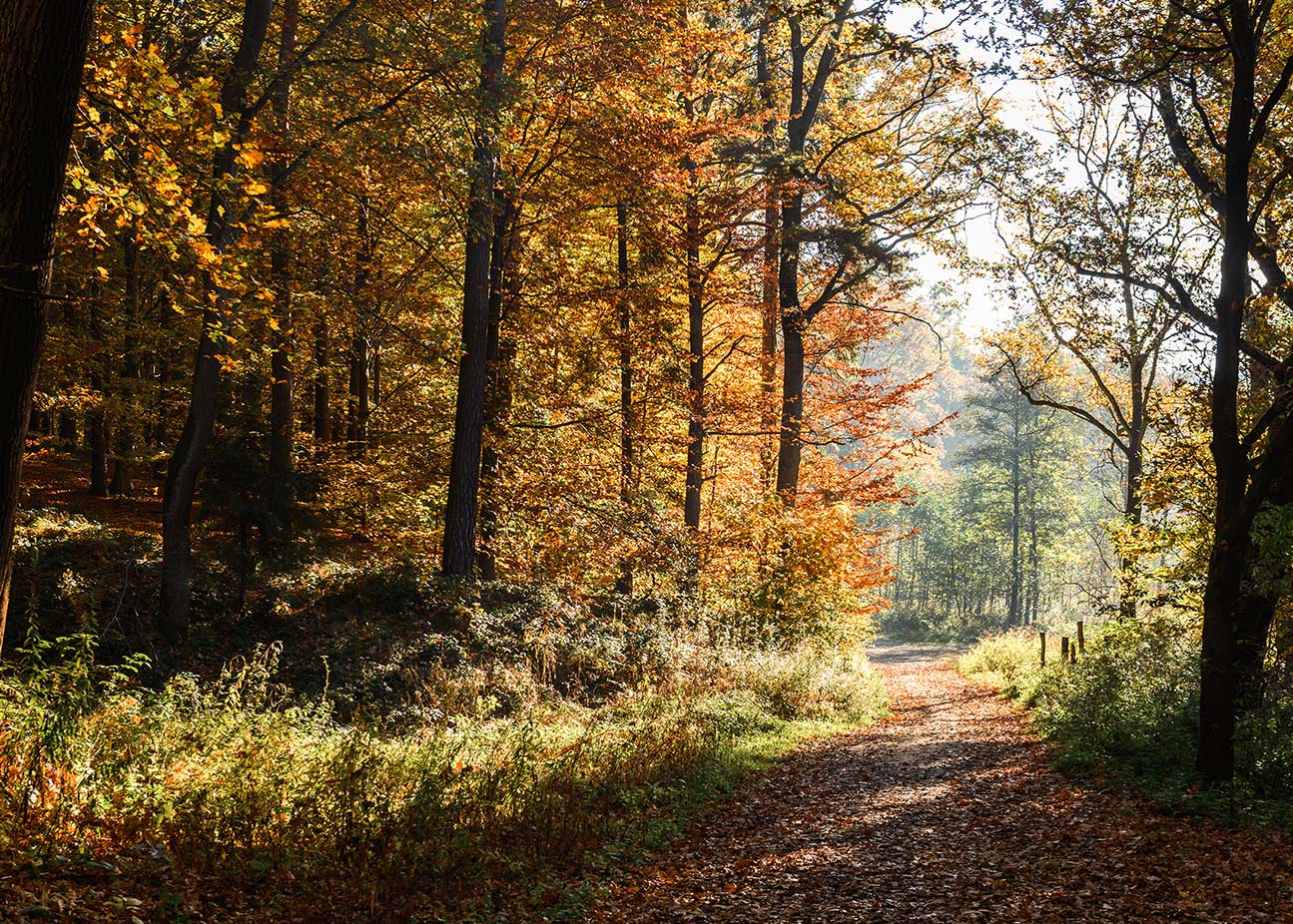 Kod rabatowy na 10% zniżki - lstpd25