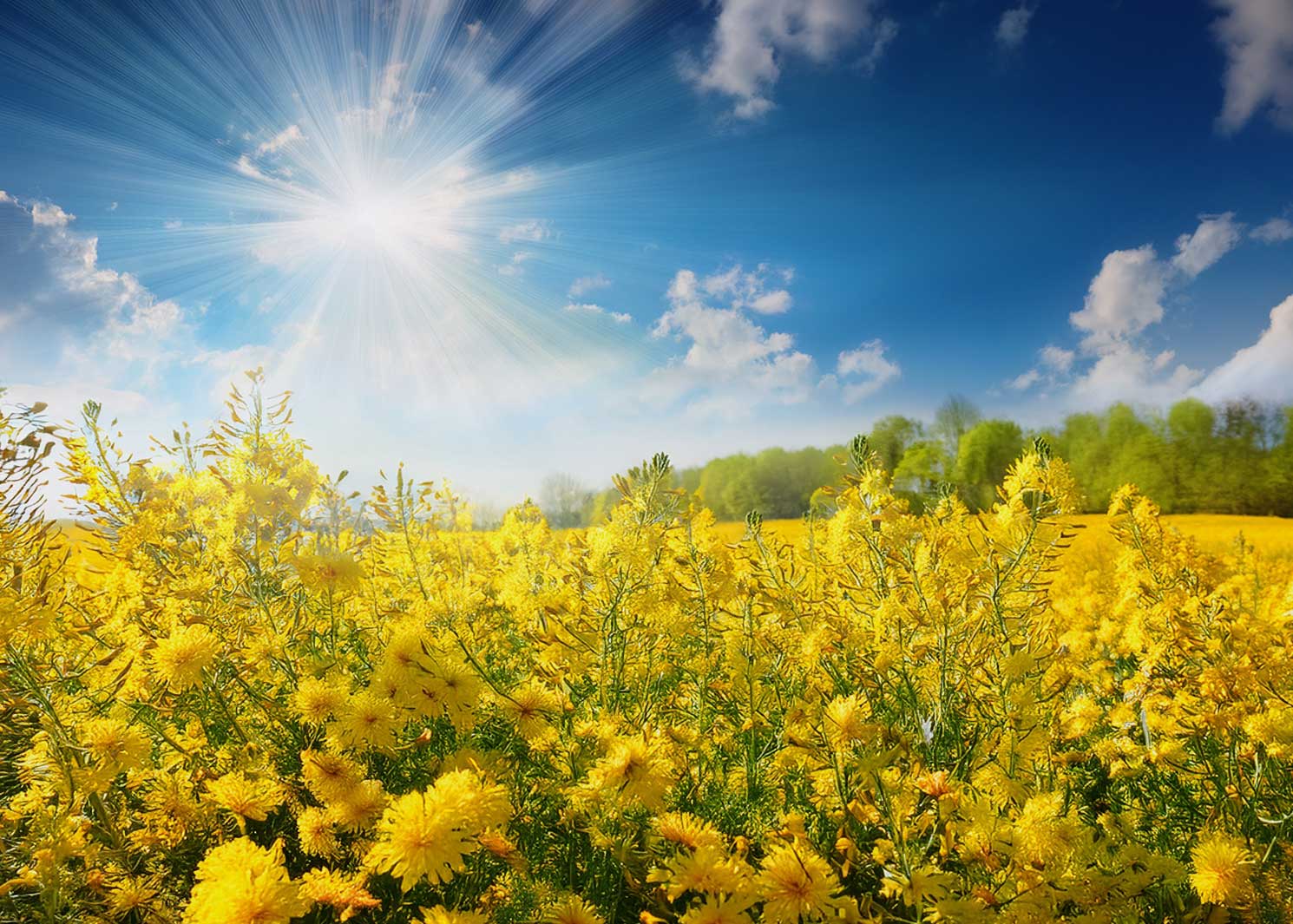 Zimowe 10% z kodem zima26