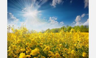 Zimowe 10% z kodem zima26