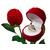 Bądź oryginalny ! Podaruj pierścionek ukryty w przepięknej róży. To oryginalne pudełko zrobi świetne wrażenie na każdej kobiecie. Długość róży około 28 cm.